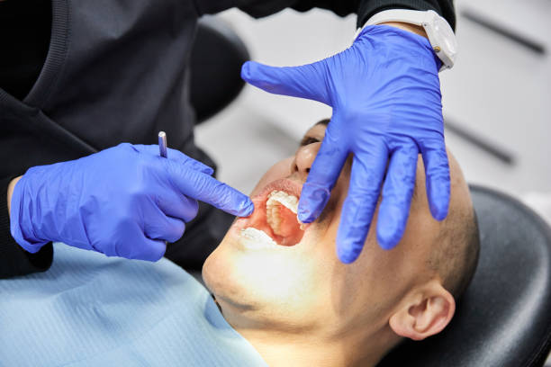 Best Same-Day Emergency Dental Services in Elfers, FL
